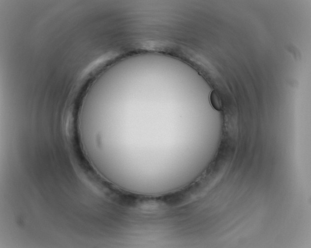 X0000114240587200910231526