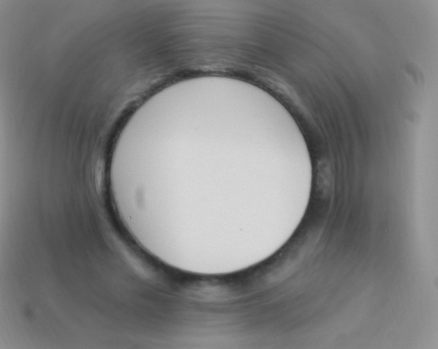 X0000114240589200910231525