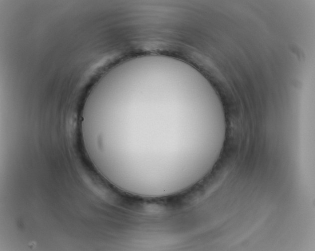 X0000114240592200910231525