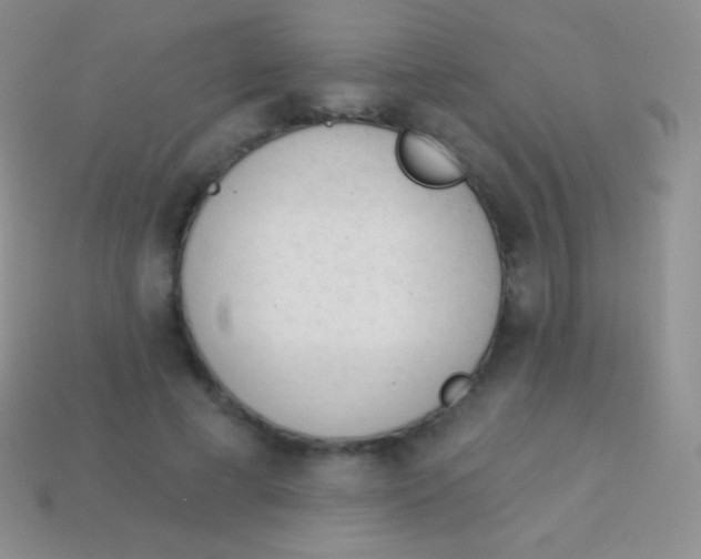 X0000114240593200910231525