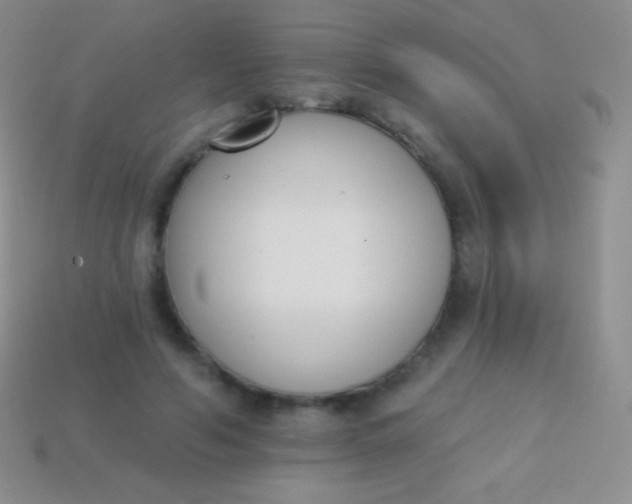 X0000114240594200910231525