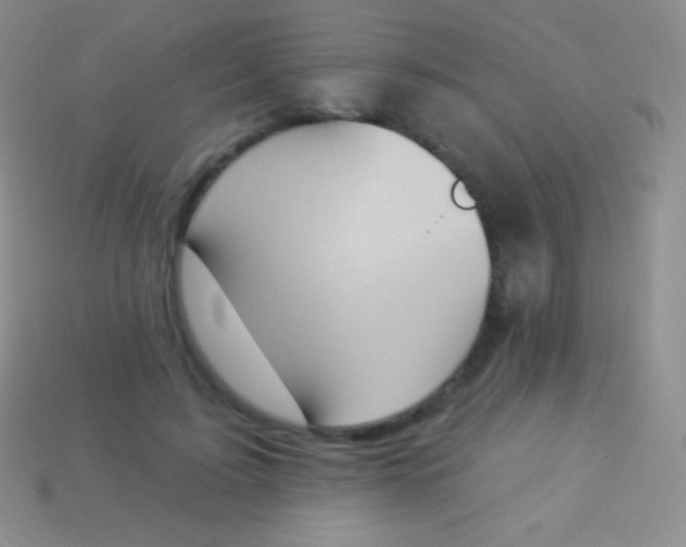 X0000114240595200910231525