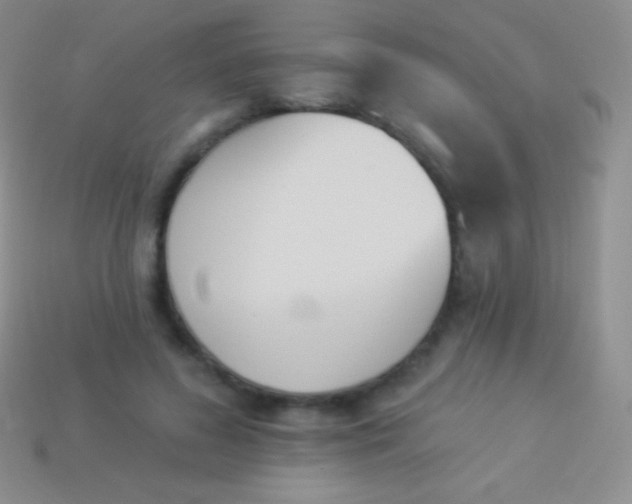 X0000114240596200910231525
