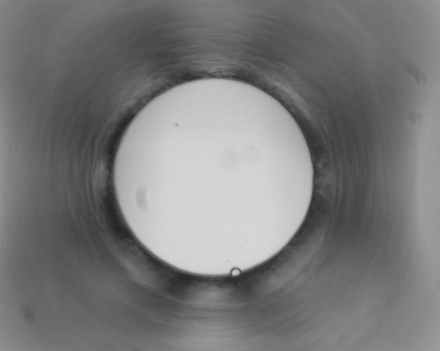 X0000114240597200910231525