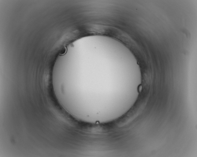X0000114240600200910231525