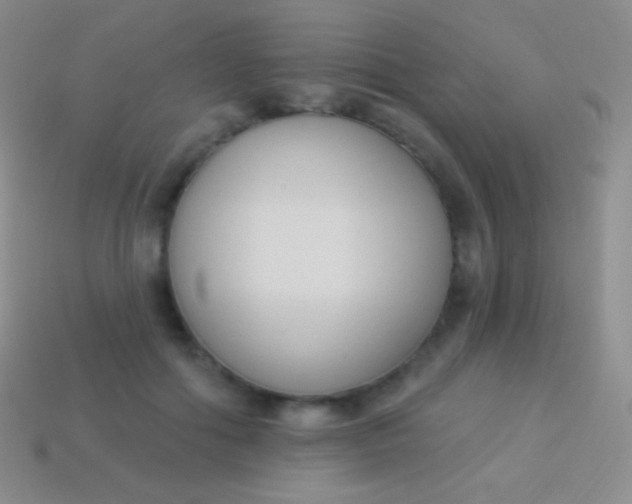 X0000114240602200910231525