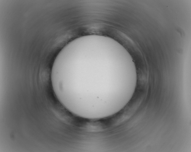 X0000114240603200910231525