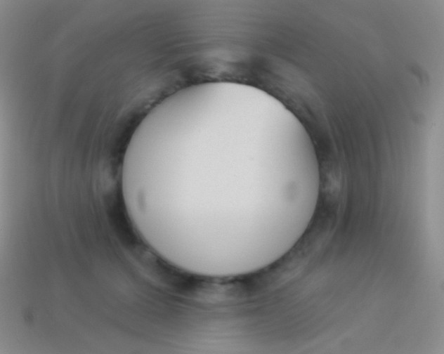 X0000114240607200910231525