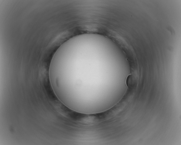 X0000114240609200910231525