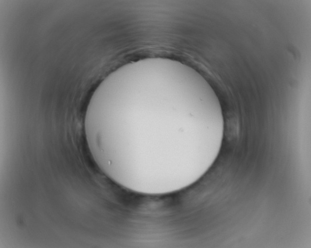 X0000114240613200910231525