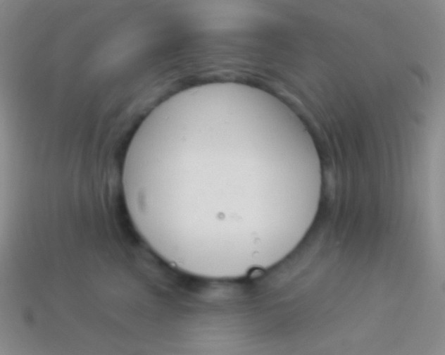 X0000114240617200910231525
