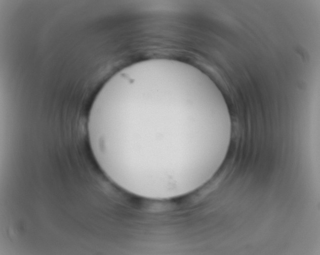 X0000114240621200910231525
