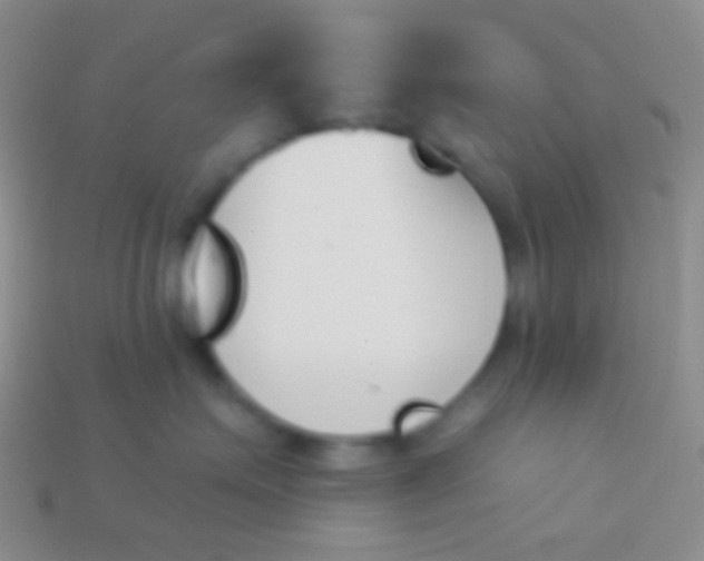 X0000114240623200910231525