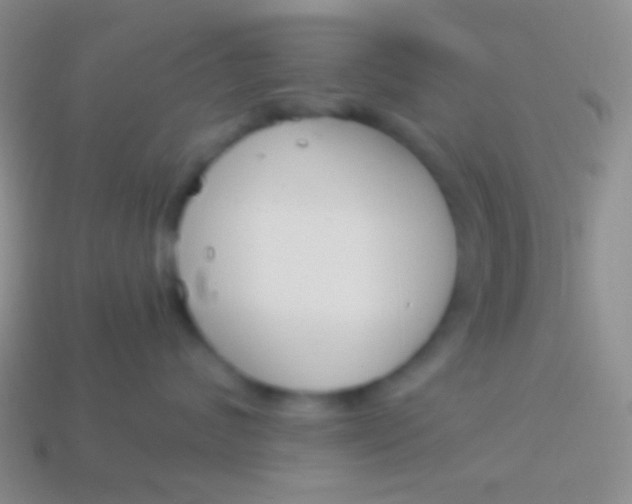 X0000114240624200910231525