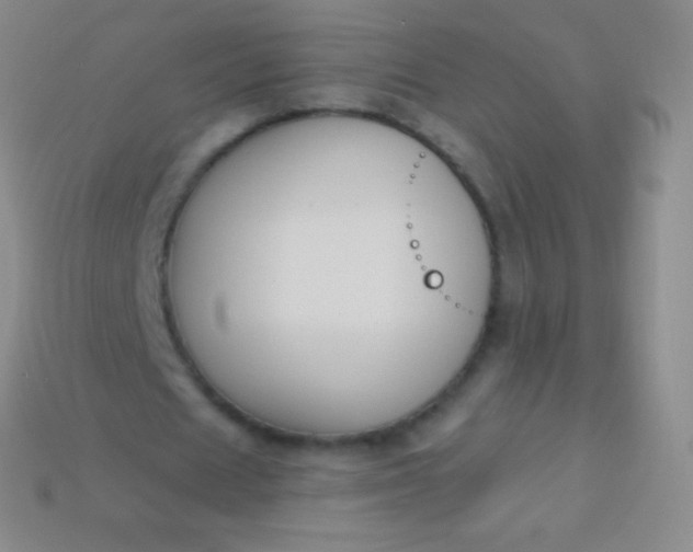 X0000114240625200910231524