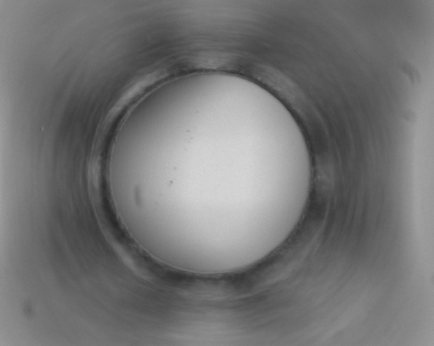 X0000114240626200910231524