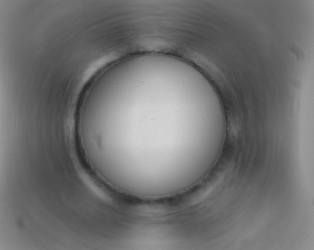 X0000114240630200910231524