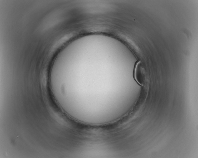 X0000114240631200910231524