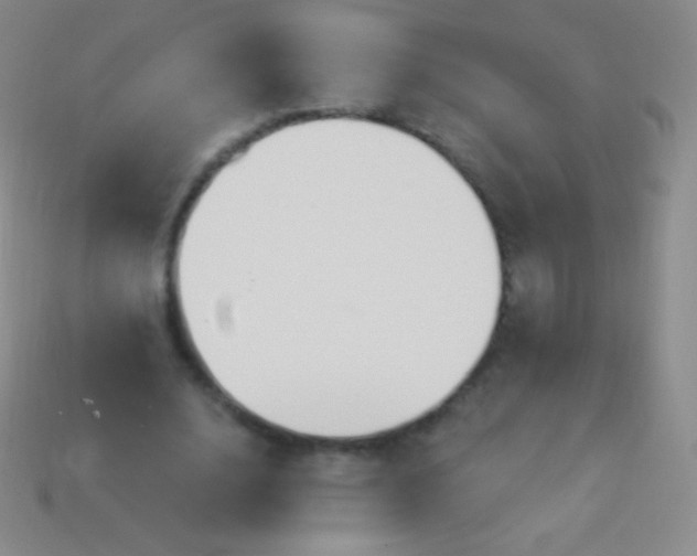 X0000114240632200910231525