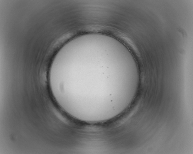 X0000114240633200910231525