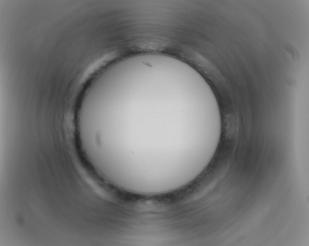X0000114240634200910231525