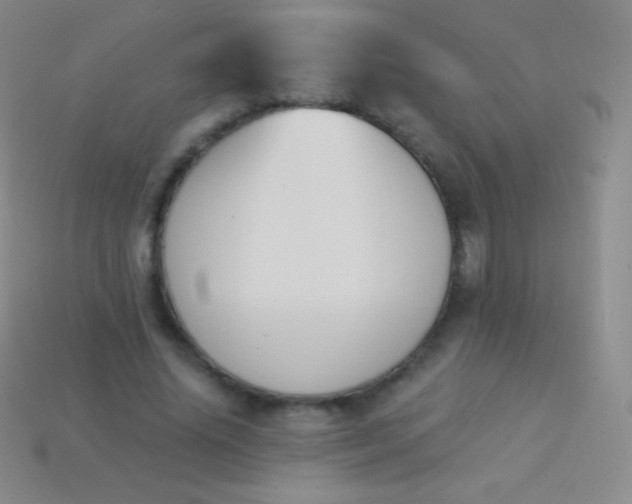 X0000114240636200910231525