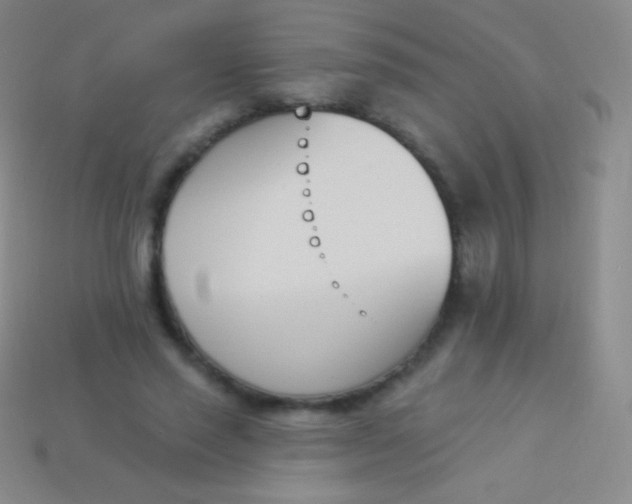 X0000114240637200910231525
