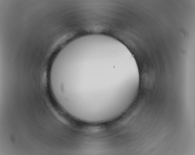 X0000114240638200910231525