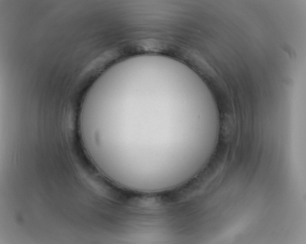 X0000114240639200910231525