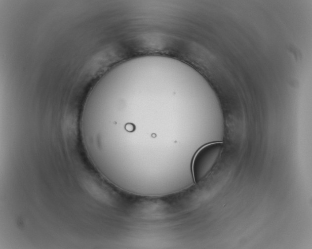 X0000114240642200910231525