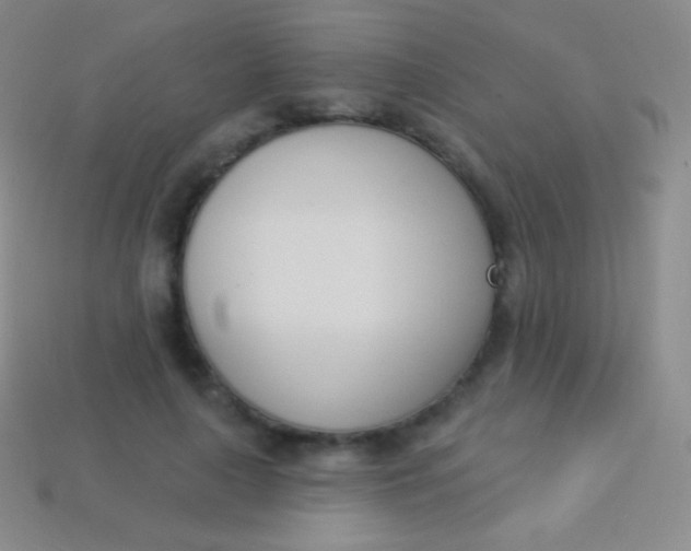 X0000114240643200910231525