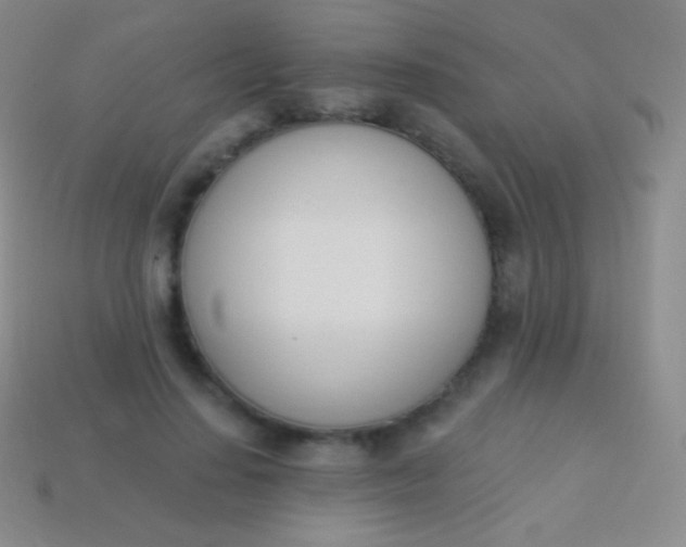 X0000114240644200910231525