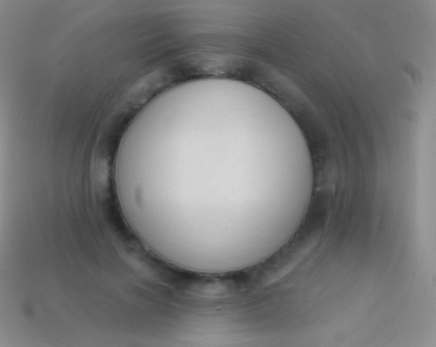 X0000114240646200910231525