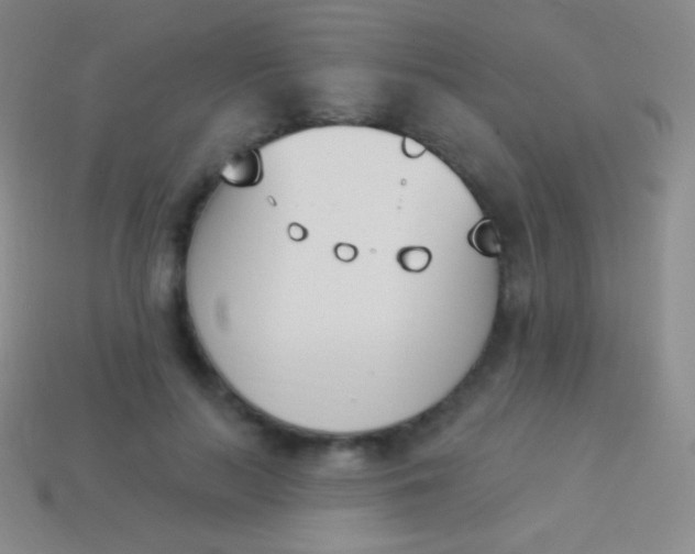 X0000114240647200910231525