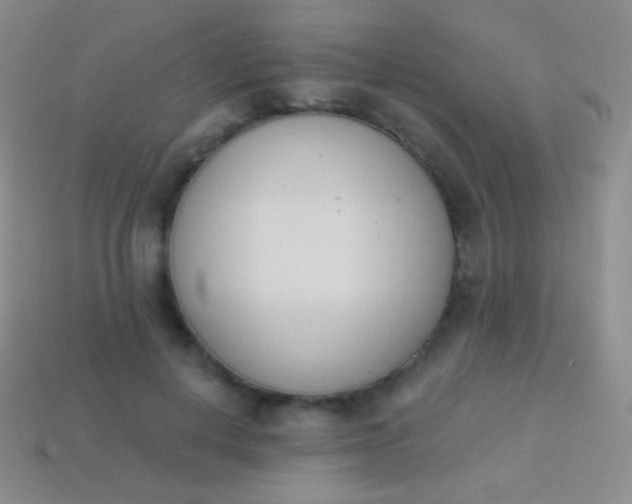 X0000114240648200910231525