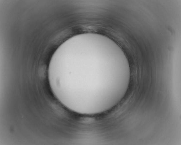 X0000114240649200910231525