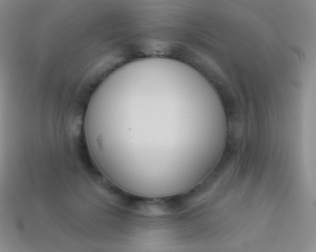 X0000114240652200910231525