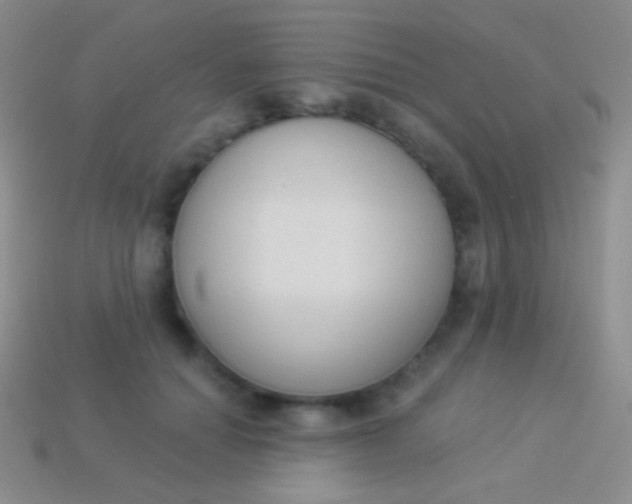 X0000114240654200910231525