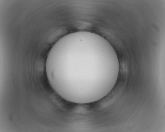 X0000114240664200910231525
