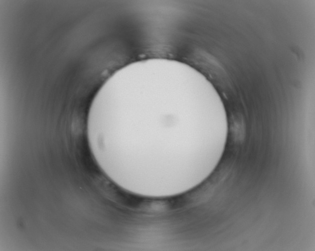 X0000114240665200910231525