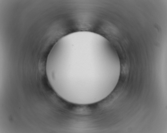 X0000114240666200910231525