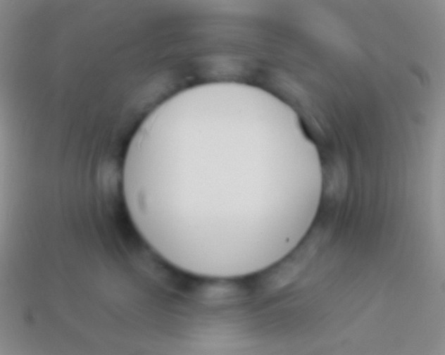X0000114240669200910231525