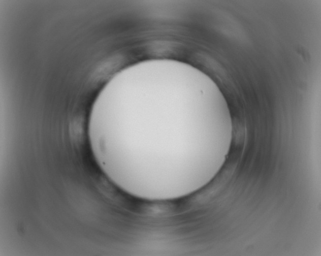 X0000114240670200910231525