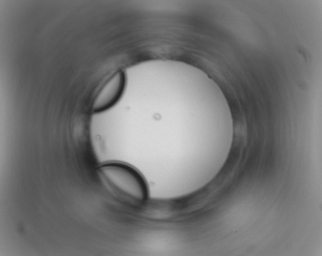 X0000114240671200910231525