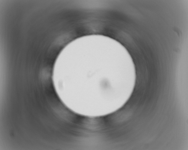 X0000114240672200910231525