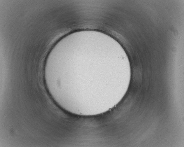 X0000114240673200910231524