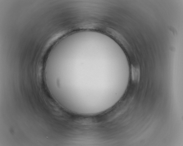 X0000114240675200910231524