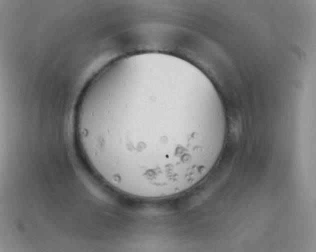X0000114240678200910231524