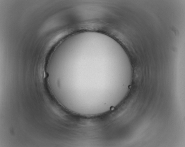 X0000114240679200910231524