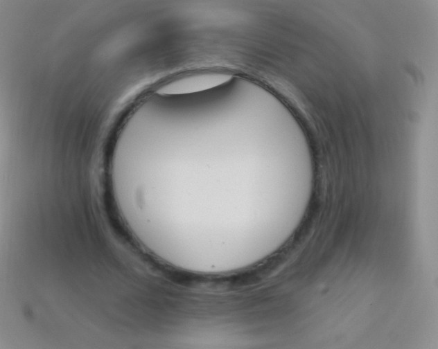 X0000114240680200910231524